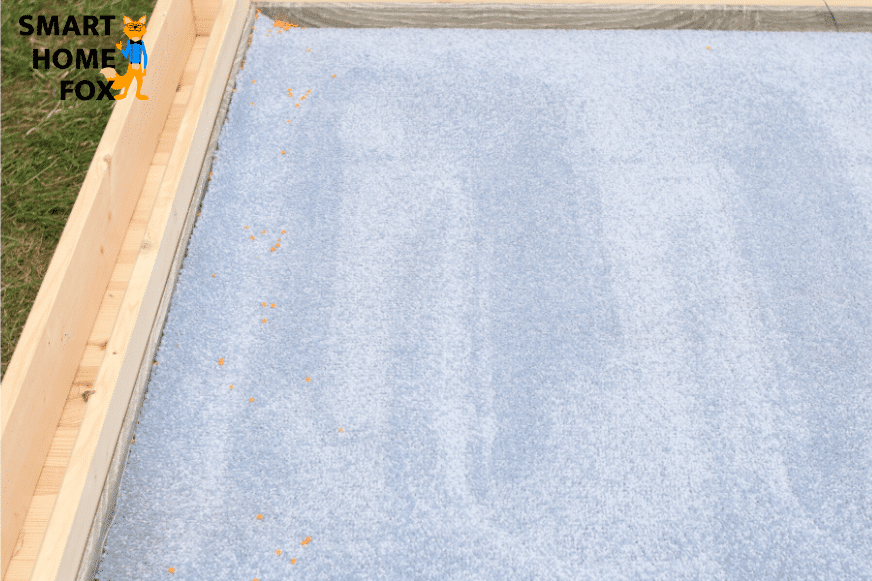 Очищенный ковер после уборки  iRobot Roomba i7 